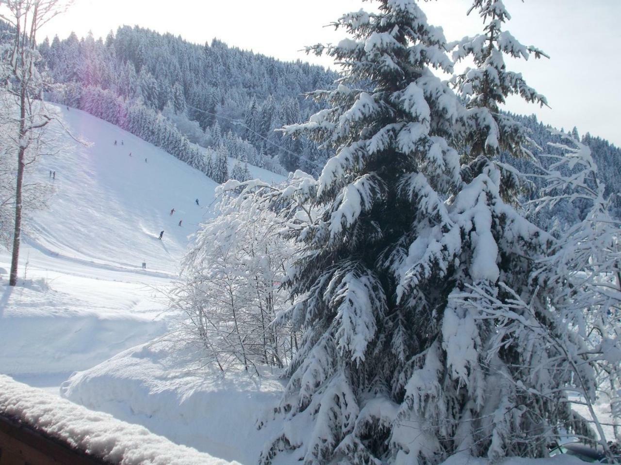 Chalet Jonquille Les Gets Luaran gambar