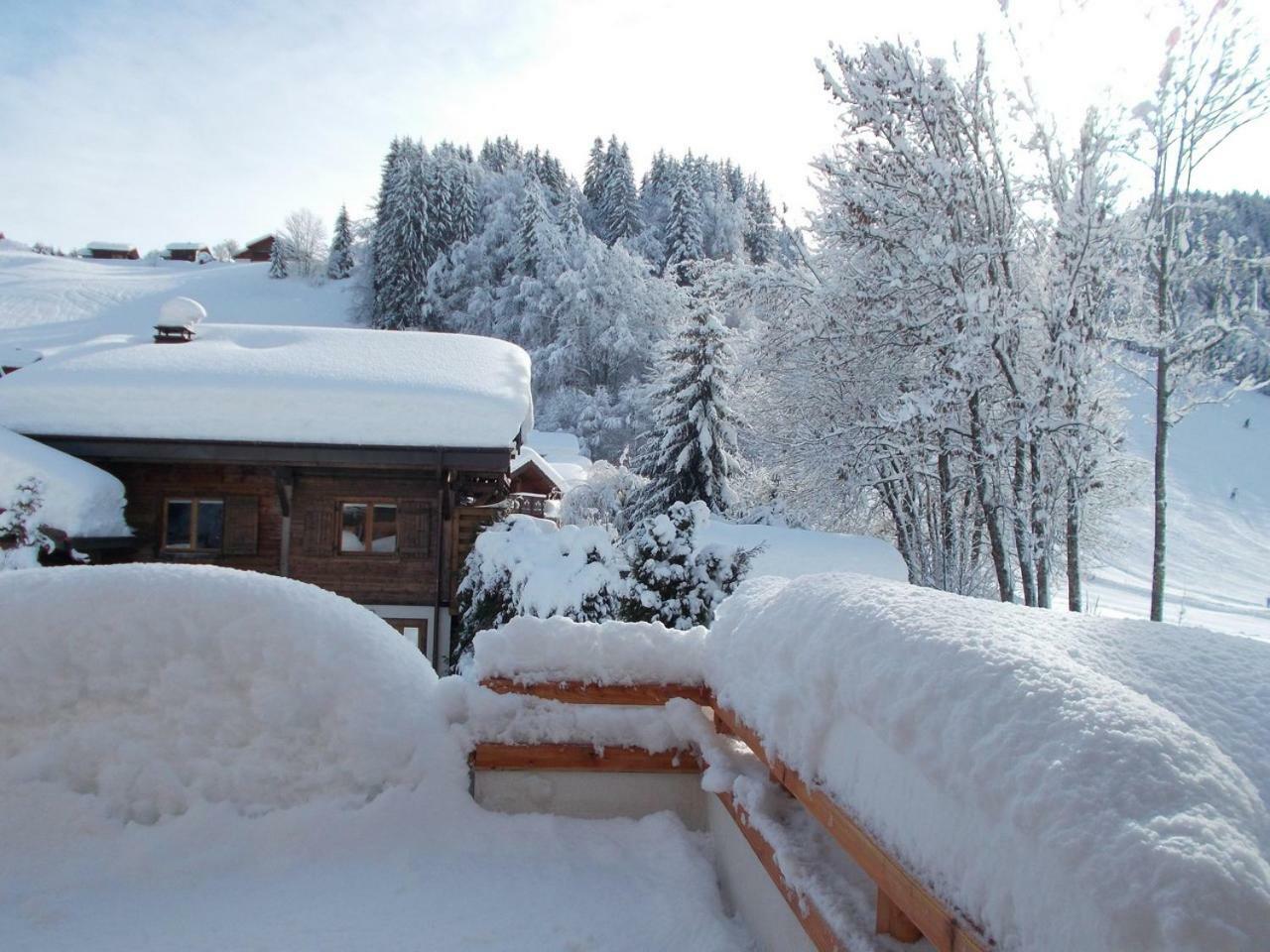 Chalet Jonquille Les Gets Luaran gambar