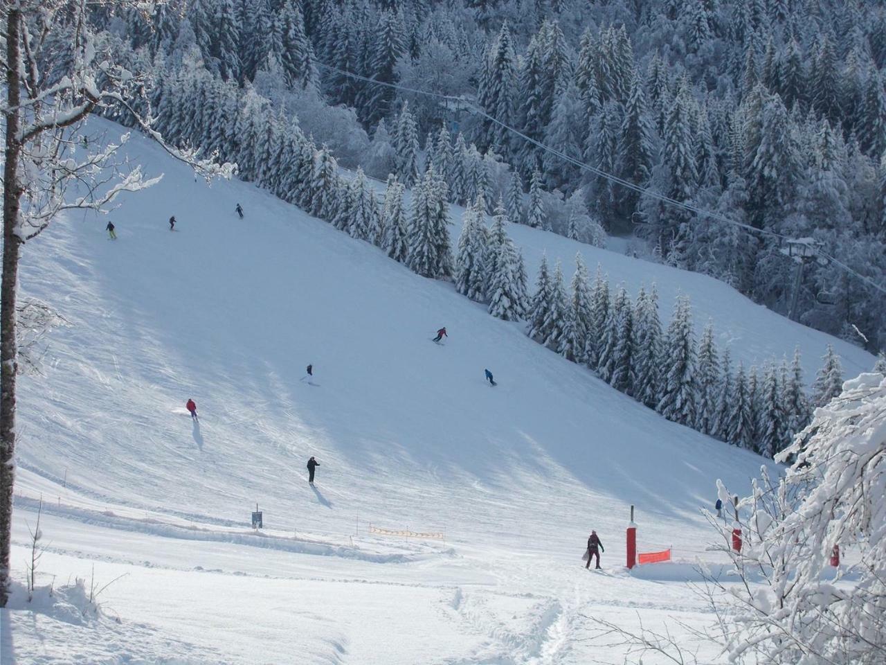 Chalet Jonquille Les Gets Luaran gambar